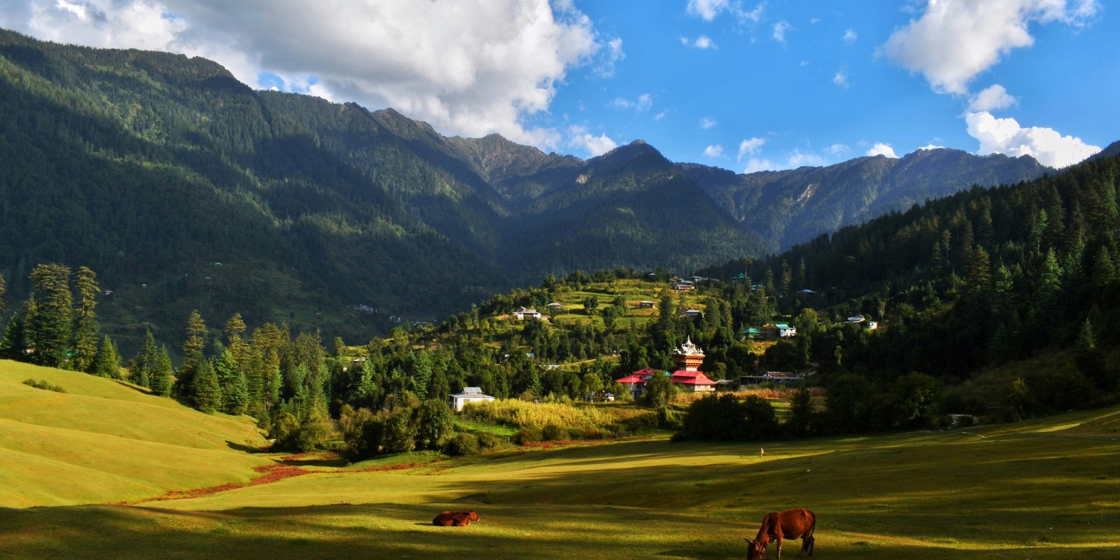 Jibhi & Jalori Pass Weekend Getaway
