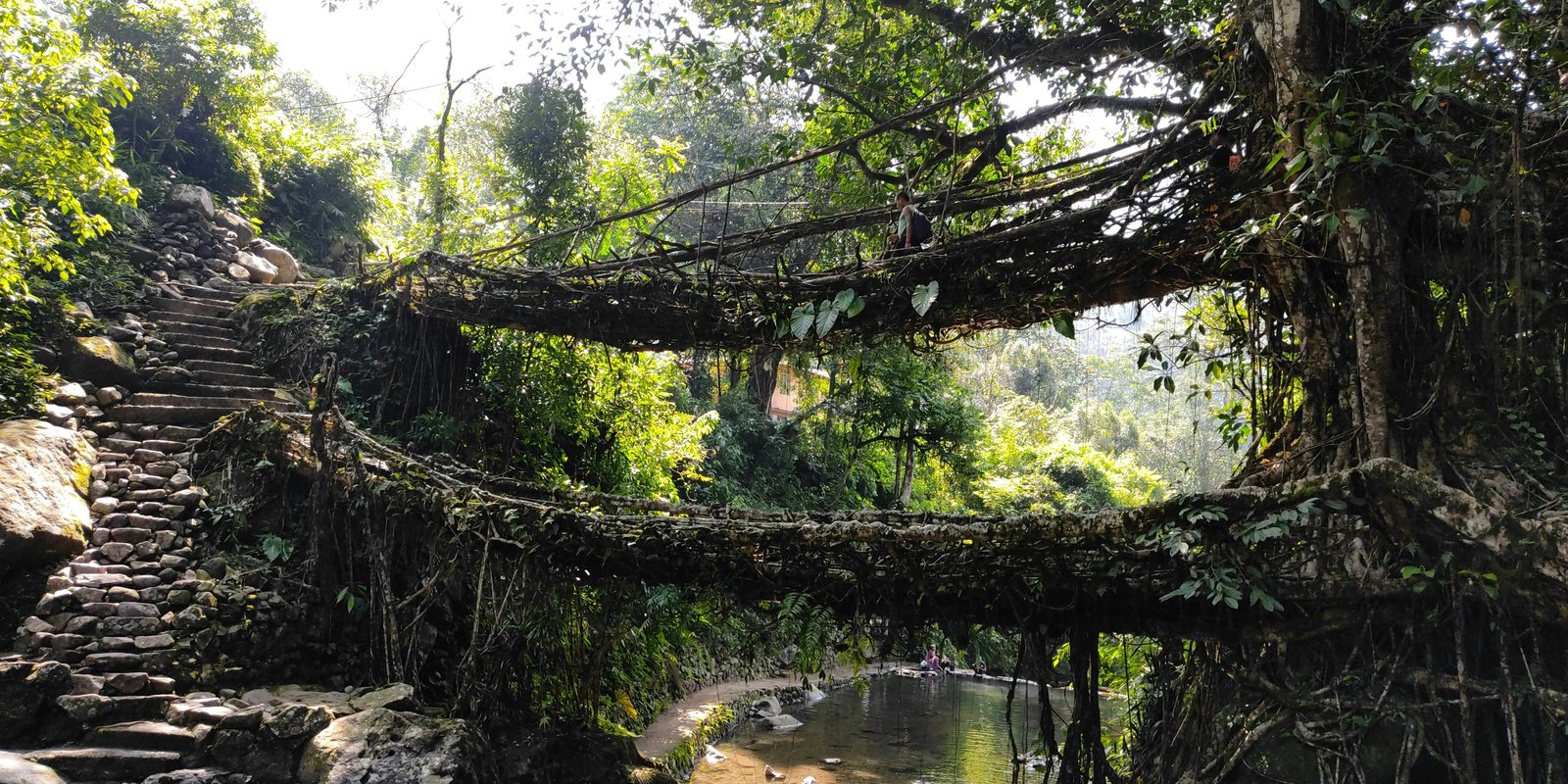 Meghalaya